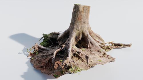 Large Tree Trunk preview image
